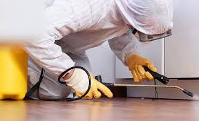 Professional Pest Control in Rosamond, CA